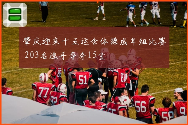 肇庆迎来十五运会体操成年组比赛 203名选手争夺15金