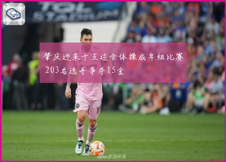 肇庆迎来十五运会体操成年组比赛 203名选手争夺15金